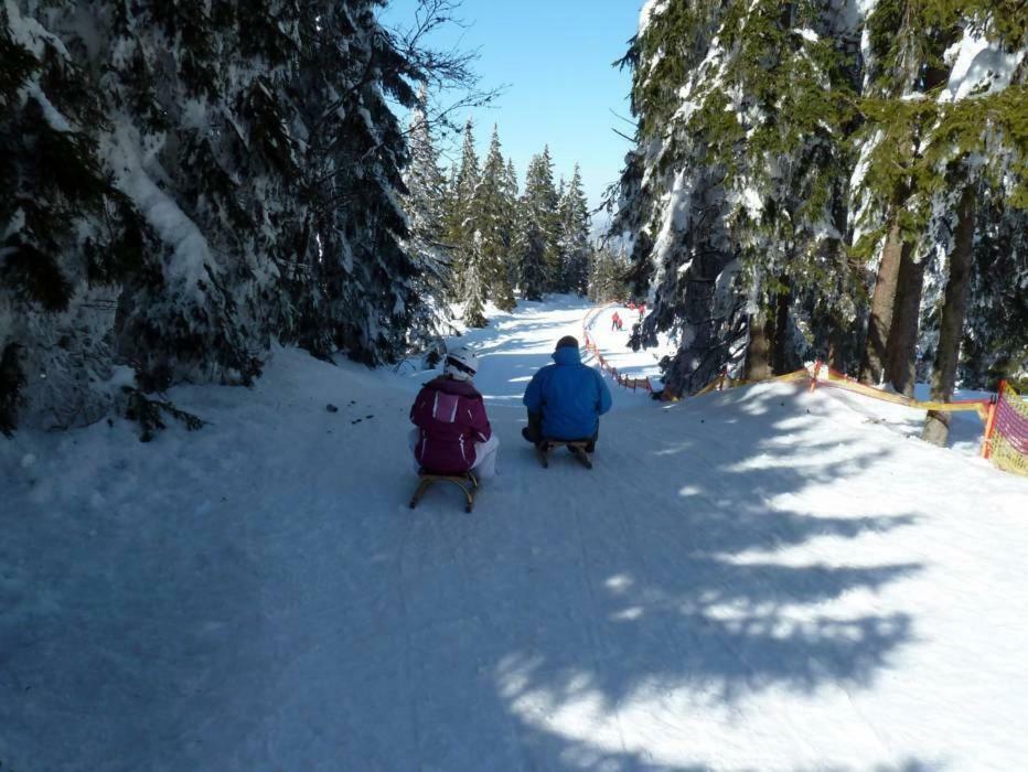 Maier Chalet Байериш Айзенщайн Екстериор снимка